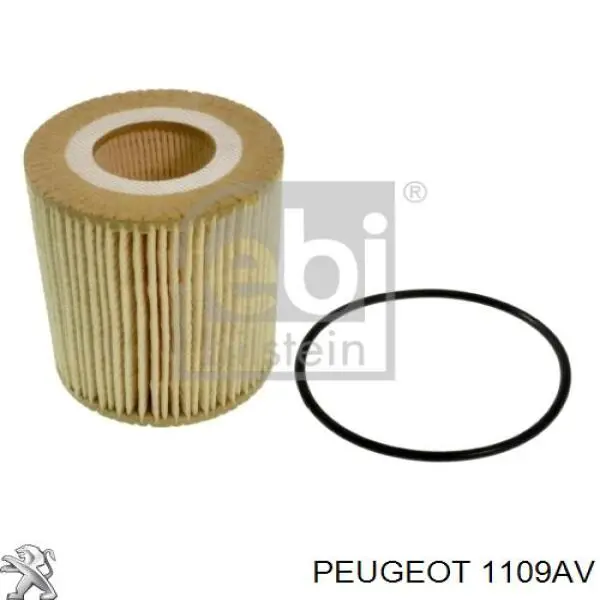 1109AV Peugeot/Citroen filtro de óleo
