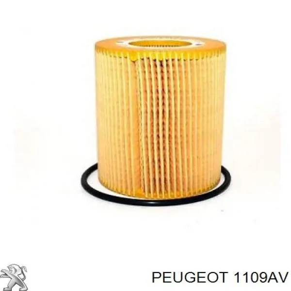 Filtro de aceite 1109AV Peugeot/Citroen