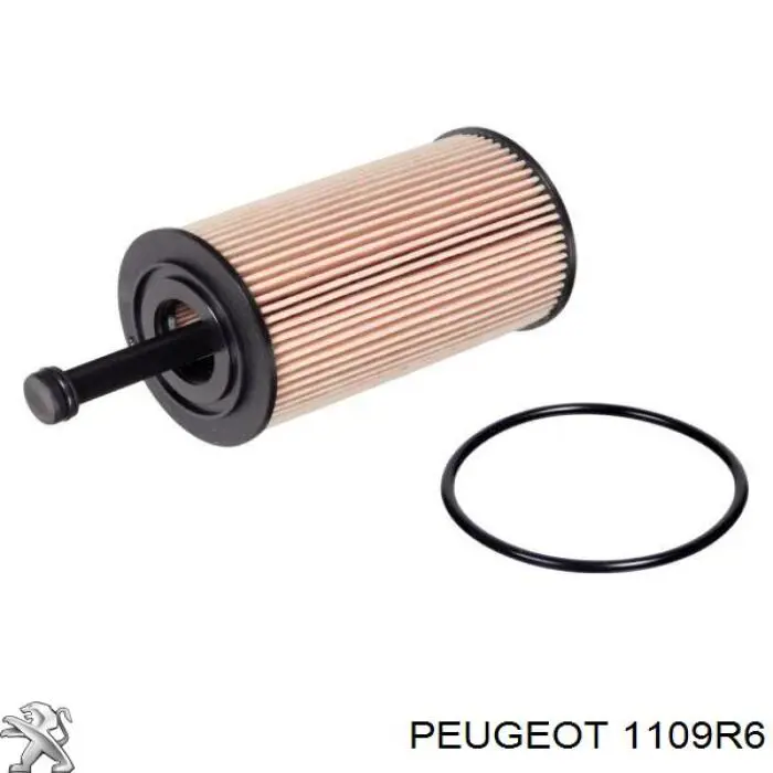 Купить 1109R6 Peugeot/Citroen Фильтр центробежный очистки масла