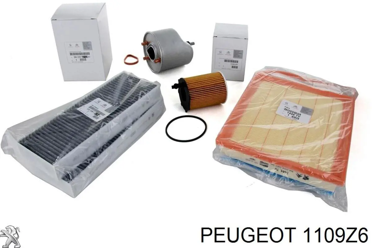 Купить 1109Z6 Peugeot/Citroen Фильтр центробежный очистки масла