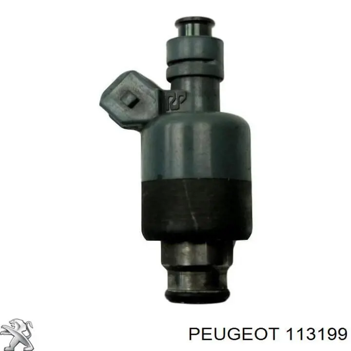  113199 Peugeot/Citroen