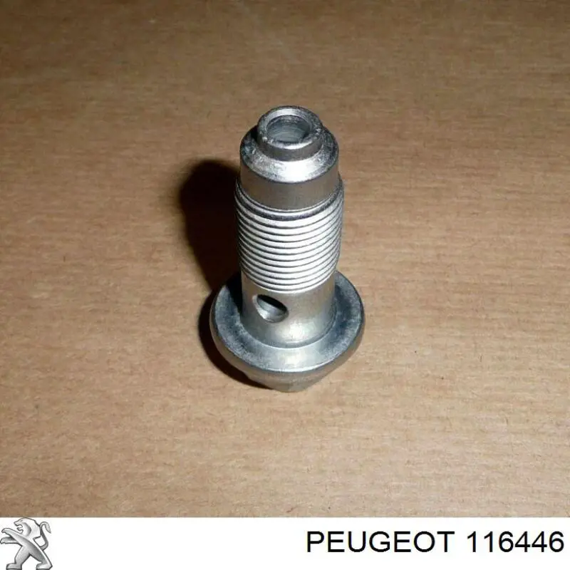 Perno de tubo de turbina de aceite 116446 Peugeot/Citroen