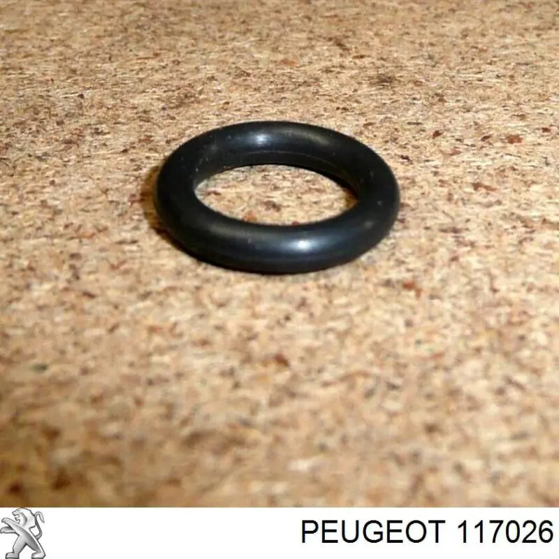 Уплотнительное кольцо направляющей щупа уровня масла двигателя на Peugeot 607 9D, 9U