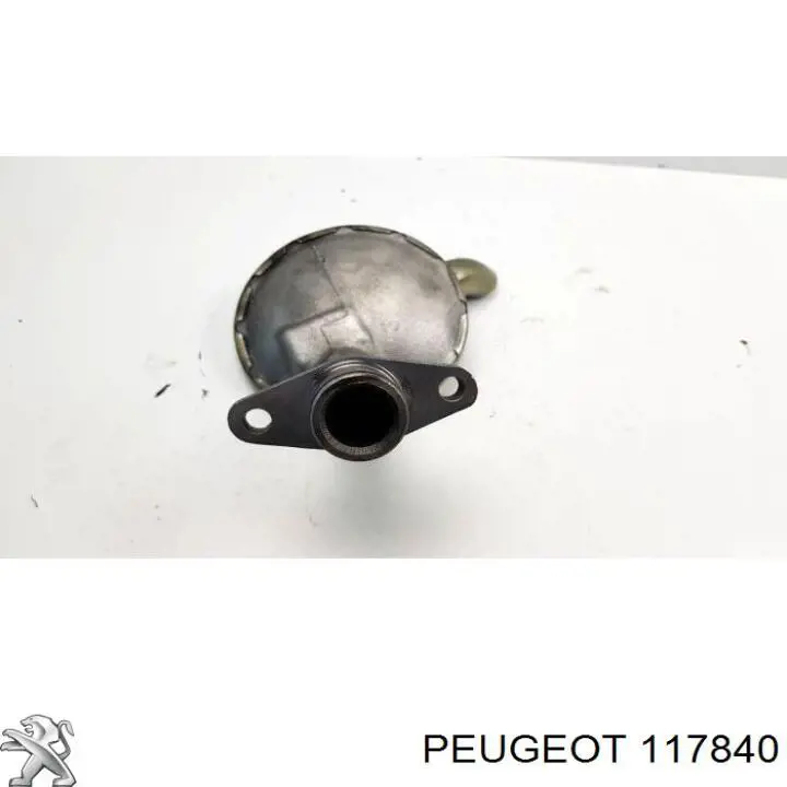  117840 Peugeot/Citroen