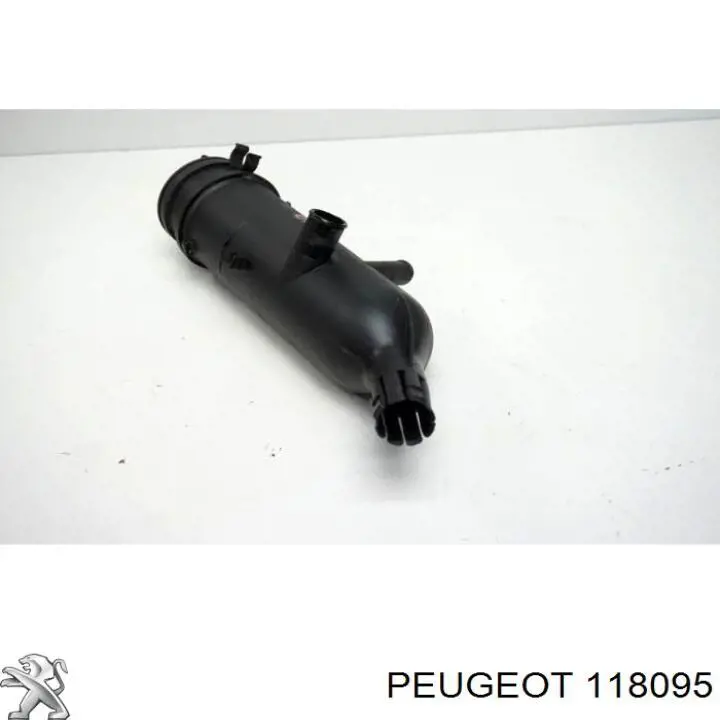 118095 Peugeot/Citroen Маслоотделитель картерных газов