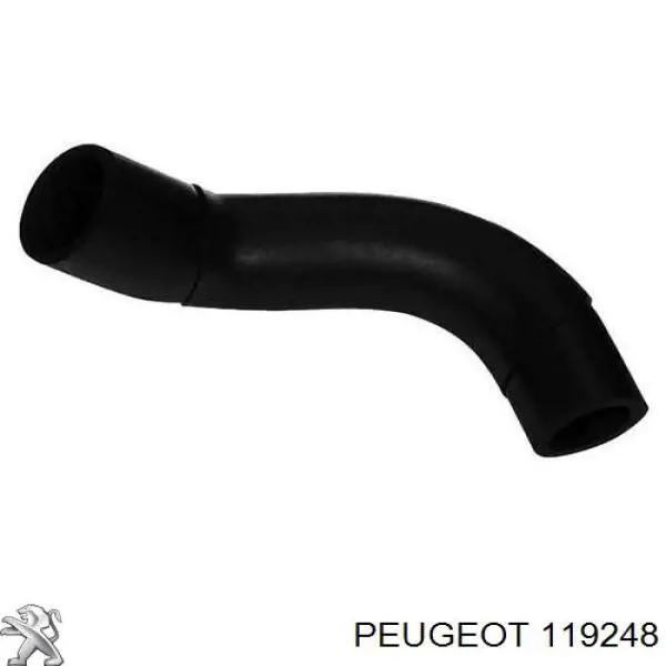 119248 Peugeot/Citroen патрубок вентиляции картера (маслоотделителя)