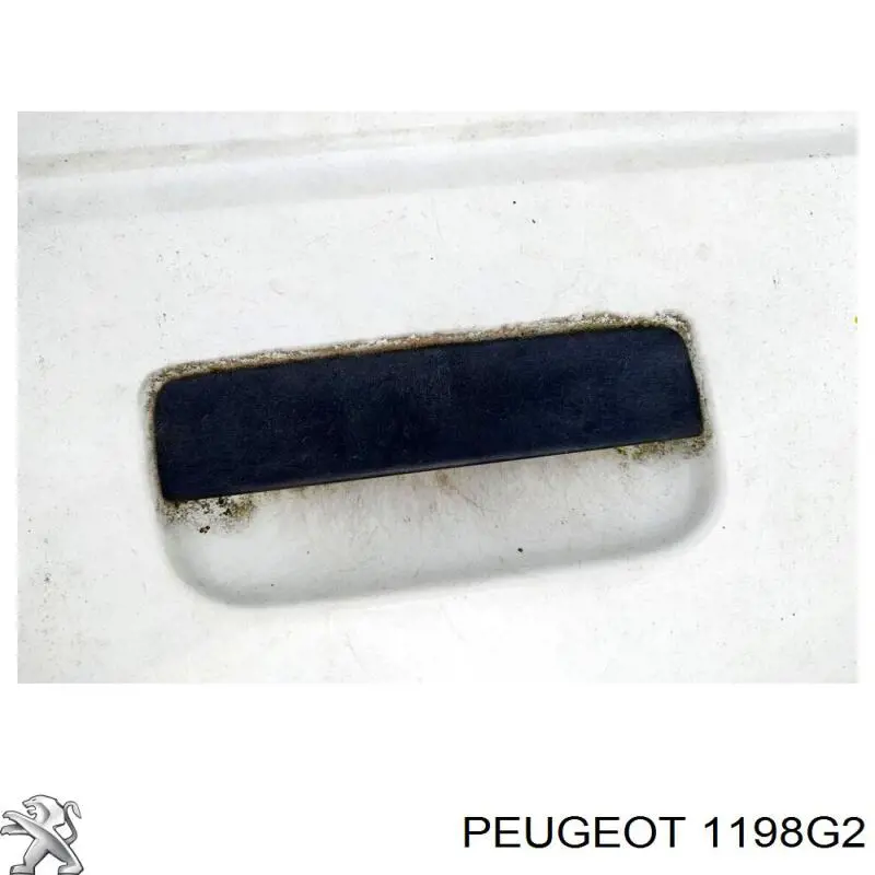 1198G2 Peugeot/Citroen 