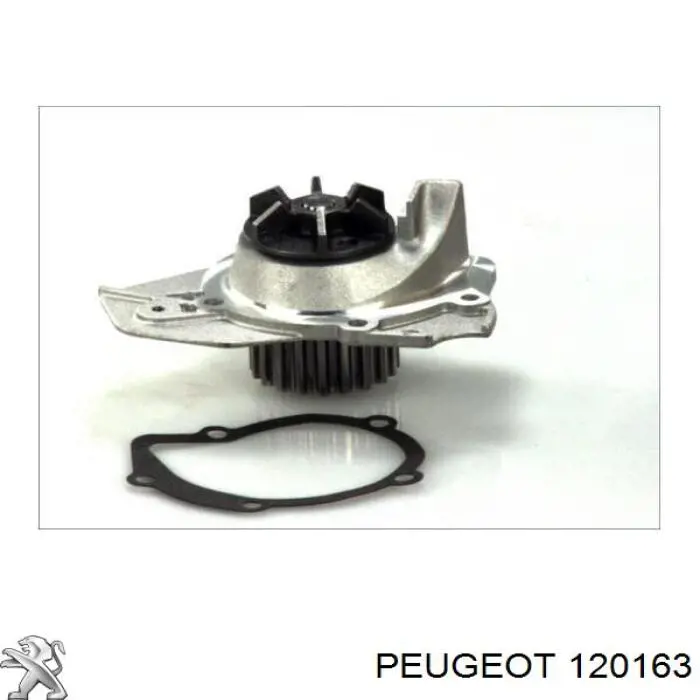 120163 Peugeot/Citroen помпа