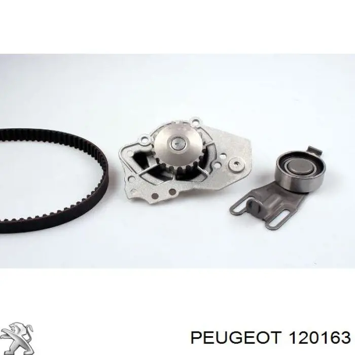 Bomba de agua 120163 Peugeot/Citroen