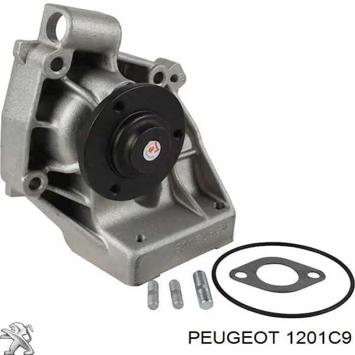 1201C9 Peugeot/Citroen помпа