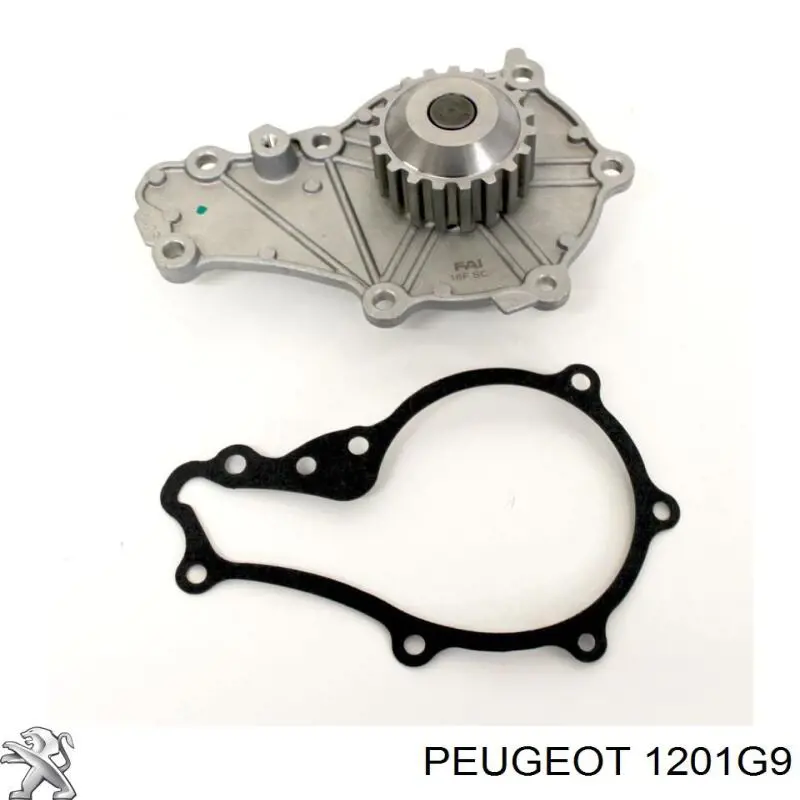 Помпа 1201G9 Peugeot/Citroen