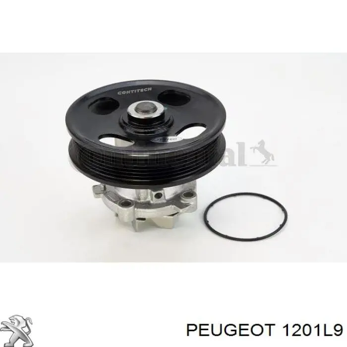 1201.L9 Peugeot/Citroen bomba de água (bomba de esfriamento)