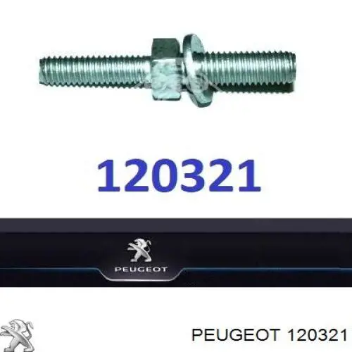 120321 Peugeot/Citroen 