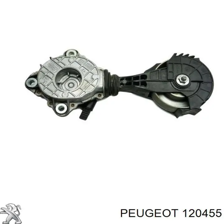Натяжная планка поликлинового ремня Peugeot/Citroen 120455