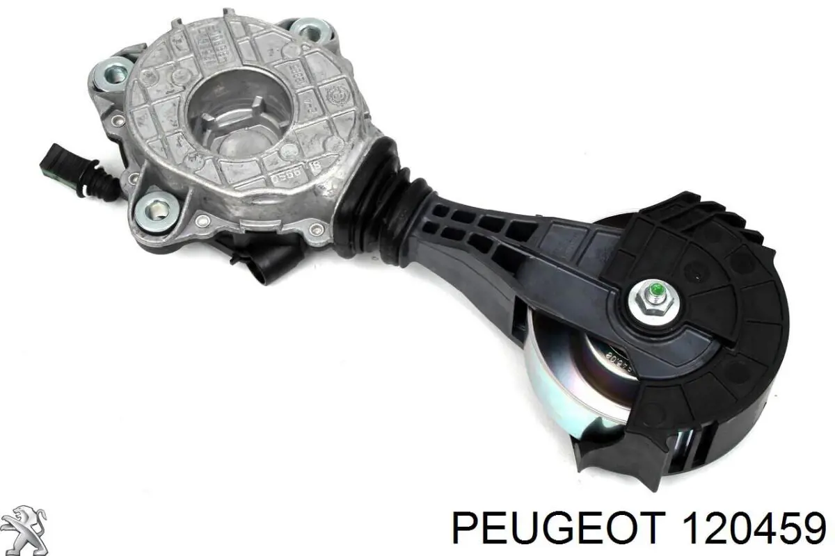 Polia da bomba de água 120459 Peugeot/Citroen