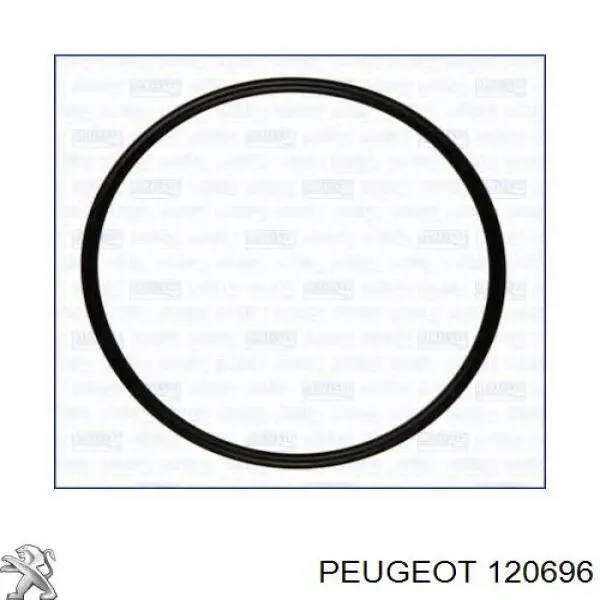 0000120696 Peugeot/Citroen vedante de bomba de água