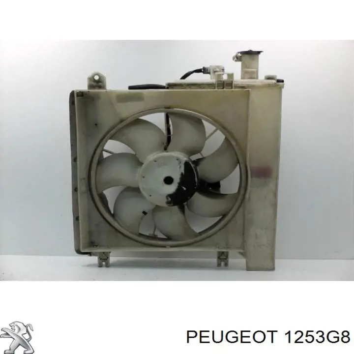 1253G8 Peugeot/Citroen ventilador elétrico de esfriamento montado (motor + roda de aletas)