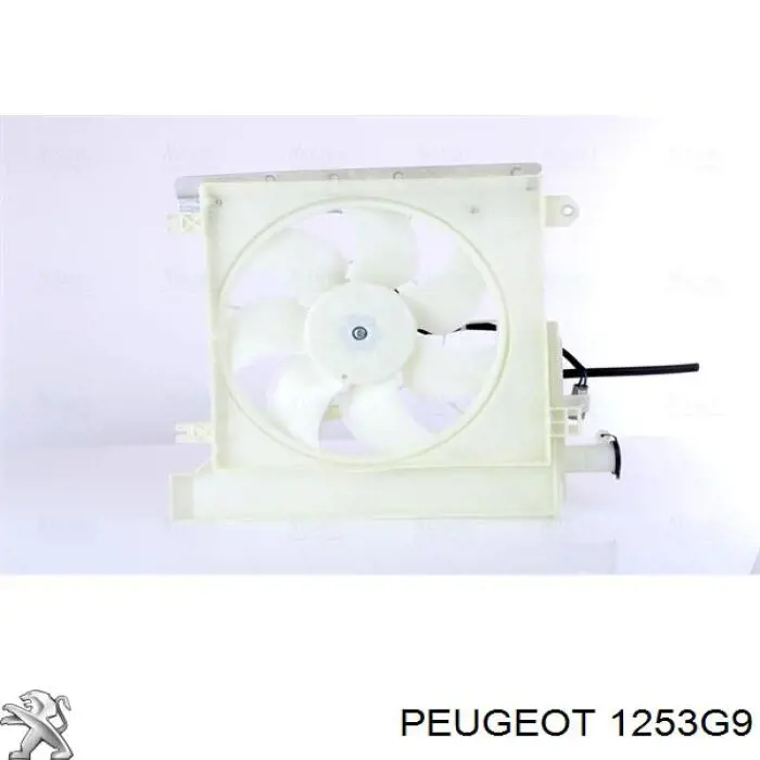 1253G9 Peugeot/Citroen ventilador elétrico de esfriamento montado (motor + roda de aletas)