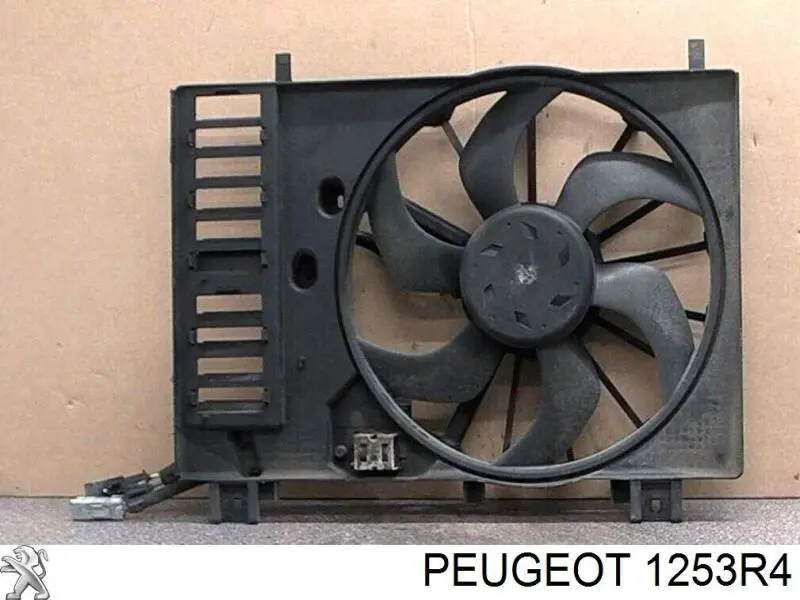 1253R4 Peugeot/Citroen difusor do radiador de esfriamento, montado com motor e roda de aletas