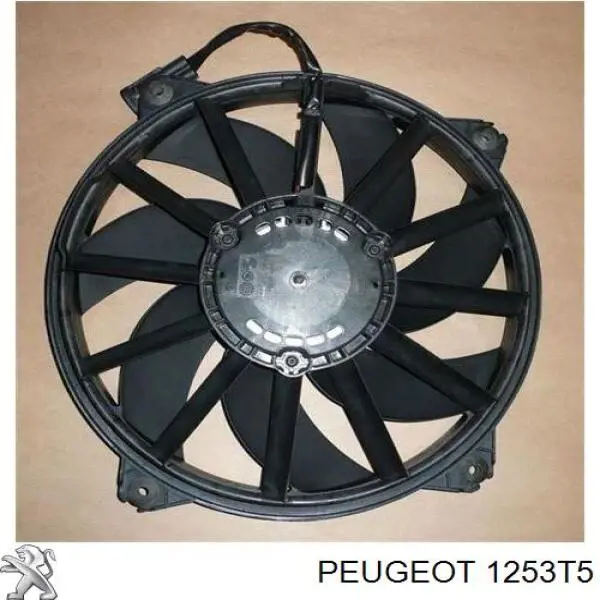Электровентилятор охлаждения в сборе (мотор+крыльчатка) Peugeot/Citroen 1253T5