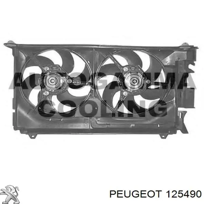 125490 Peugeot/Citroen 