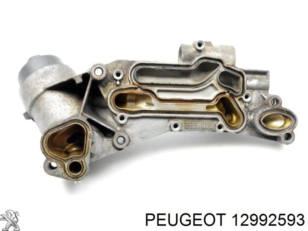 Caja, filtro de aceite 12992593 Peugeot/Citroen