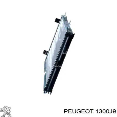 1300J9 Peugeot/Citroen Радиатор основной