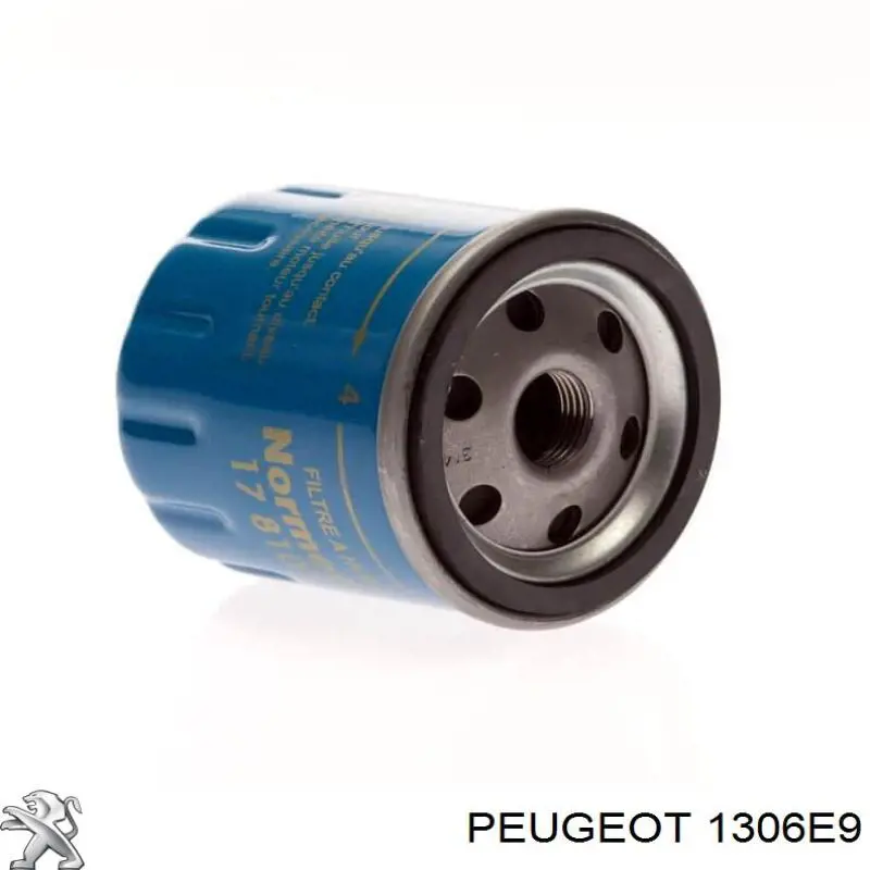 1306E9 Peugeot/Citroen датчик уровня охлаждающей жидкости в бачке
