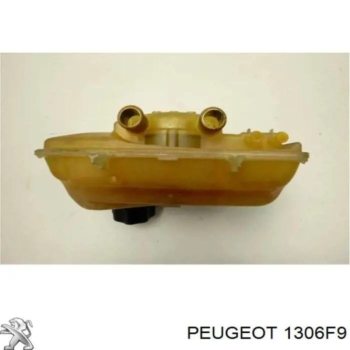  1306F9 Peugeot/Citroen