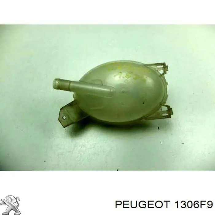 1306F9 Peugeot/Citroen 
