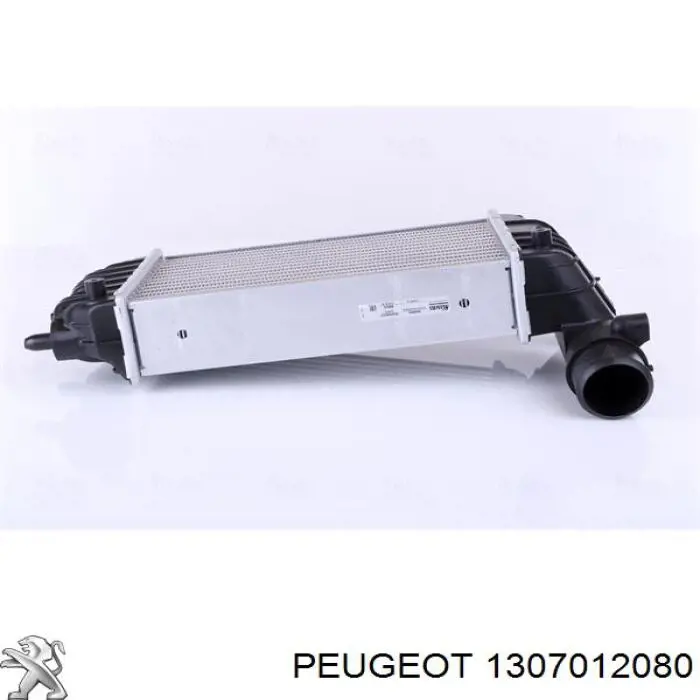 1307012080 Peugeot/Citroen интеркулер
