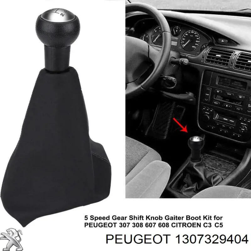 1307329404 Peugeot/Citroen 
