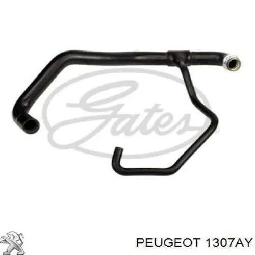 Купить 1307AY Peugeot/Citroen Трубопроводы и шланги системы охлаждения