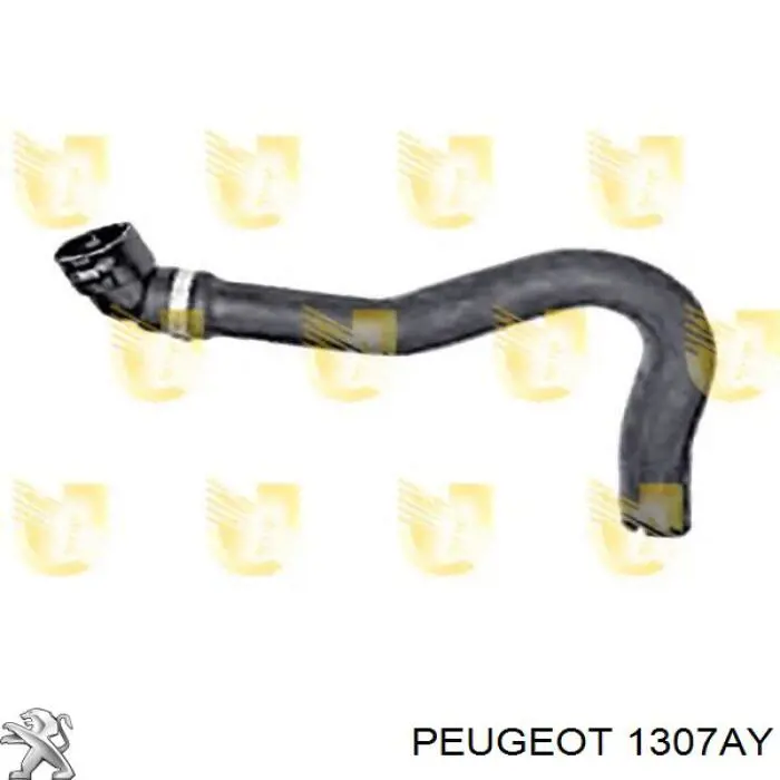 Патрубок системи охолодження 1307AY Peugeot/Citroen