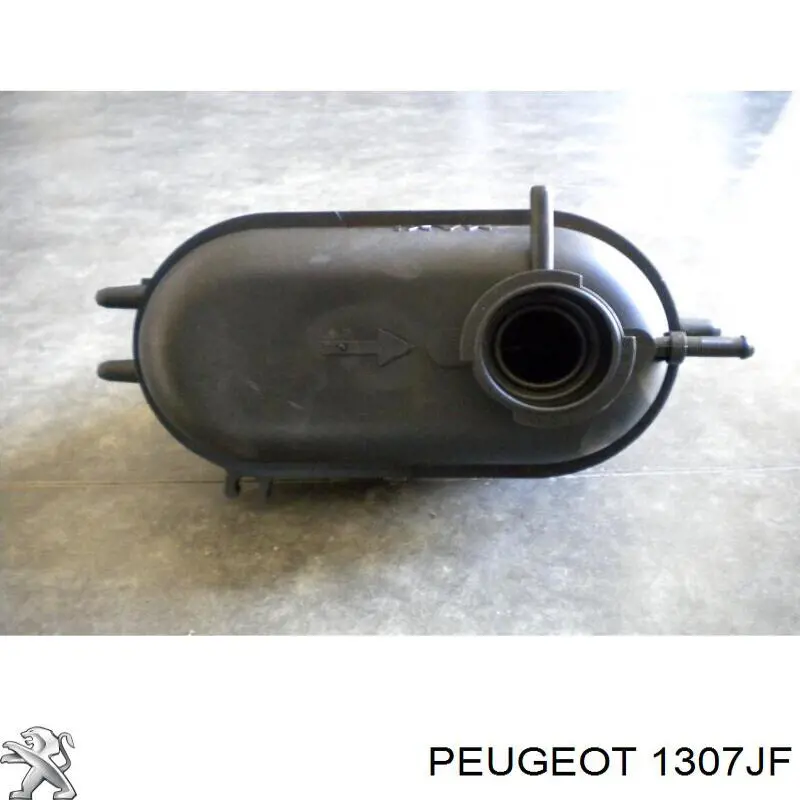 1307JF Peugeot/Citroen бачок