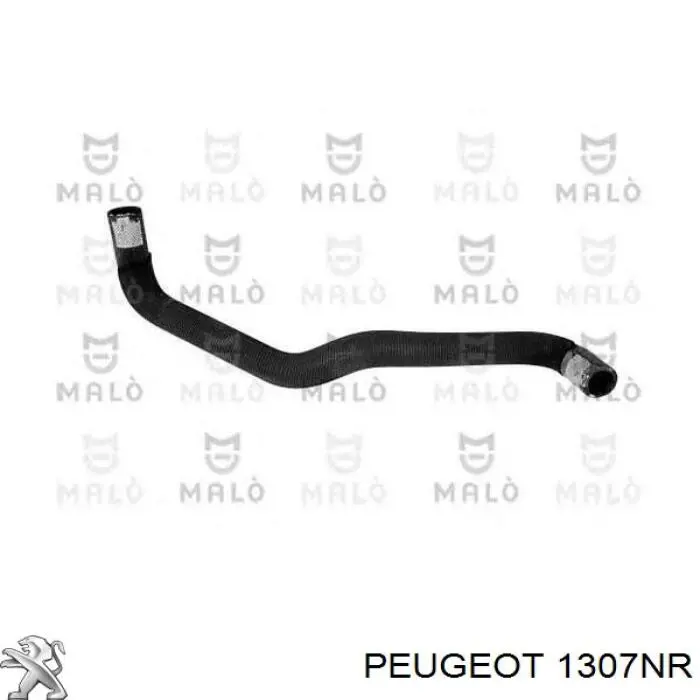 Mangueira (cano derivado) do sistema de esfriamento 1307NR Peugeot/Citroen