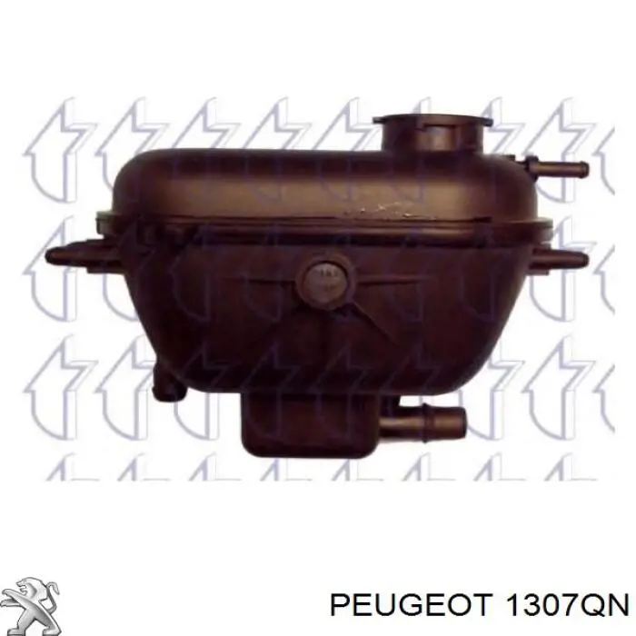 Botella de refrigeración 1307QN Peugeot/Citroen