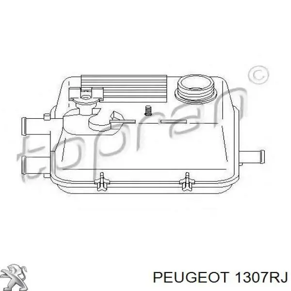 Botella de refrigeración 1307RJ Peugeot/Citroen