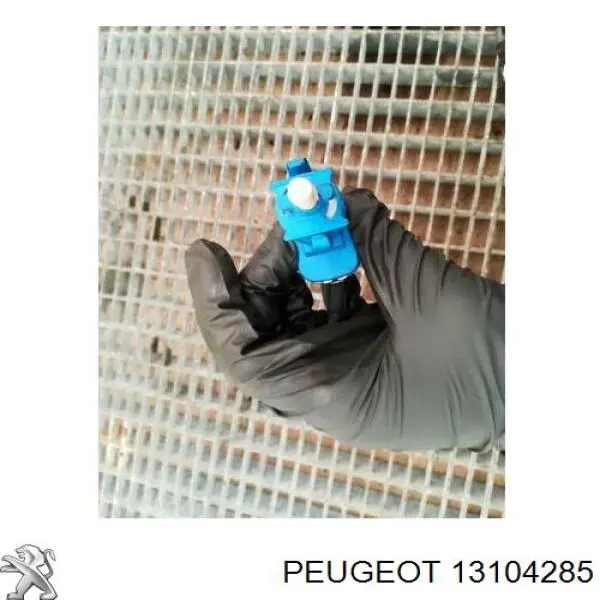 13104285 Peugeot/Citroen