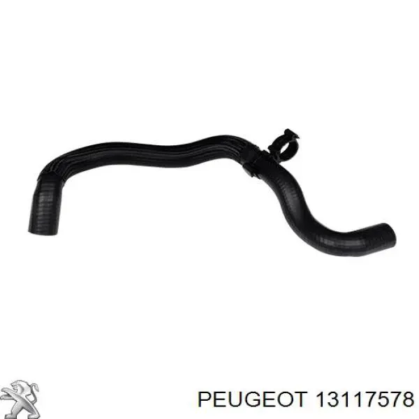 13117578 Peugeot/Citroen 