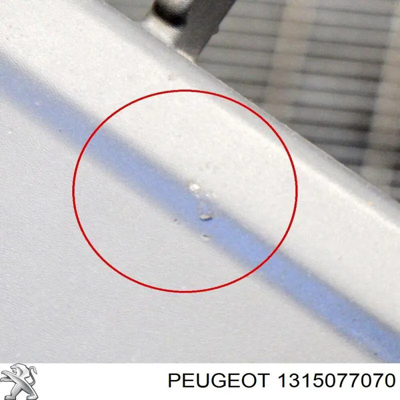 1315077070 Peugeot/Citroen Центр переднего бампера