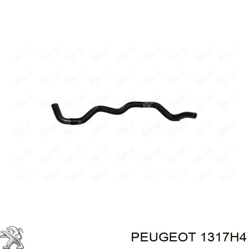 1317H4 Peugeot/Citroen mangueira inferior do tanque de expansão