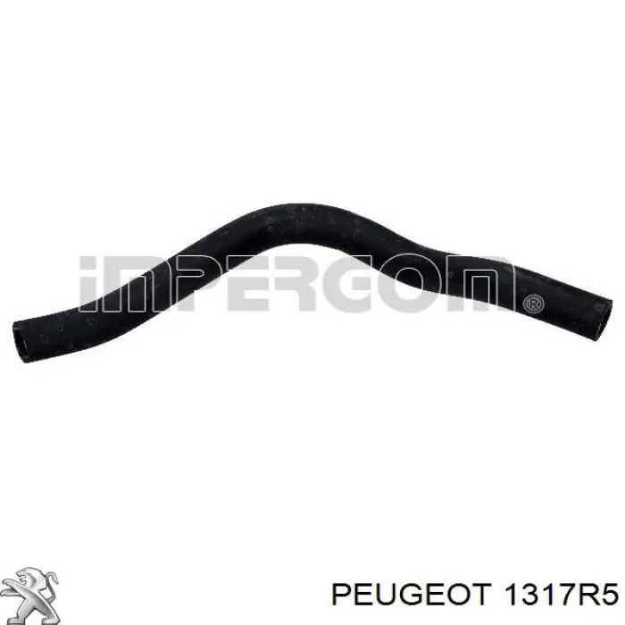 1317R5 Peugeot/Citroen 