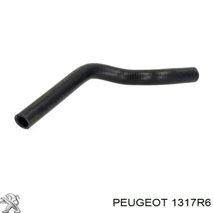1317R6 Peugeot/Citroen mangueira (cano derivado de esfriamento de trocador de calor de óleo, fornecimento)