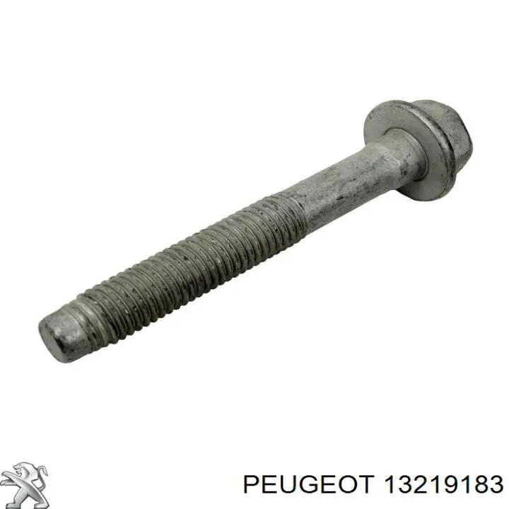 13219183 Peugeot/Citroen arruela de parafuso de fixação do braço oscilante inferior traseiro interno