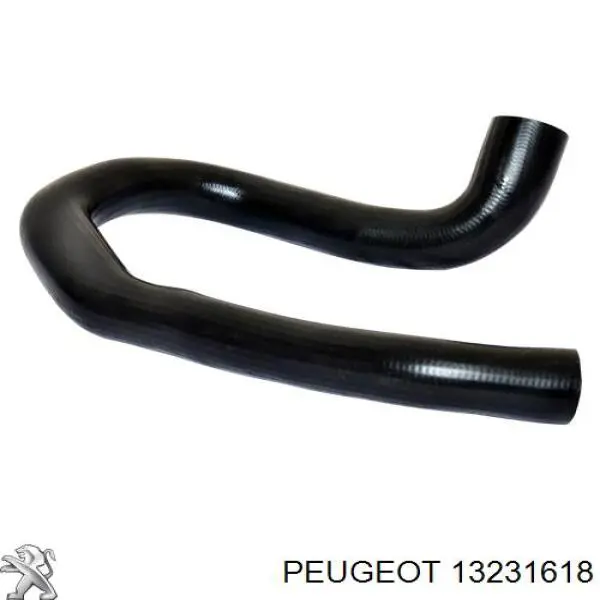 13231618 Peugeot/Citroen mangueira (cano derivado inferior de intercooler)