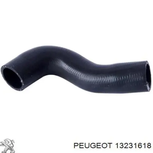 Tubo flexible de aire de sobrealimentación inferior 13231618 Peugeot/Citroen