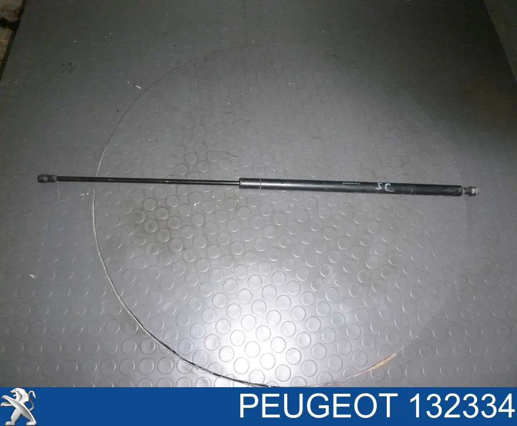 132334 Peugeot/Citroen шланг (патрубок системы охлаждения)