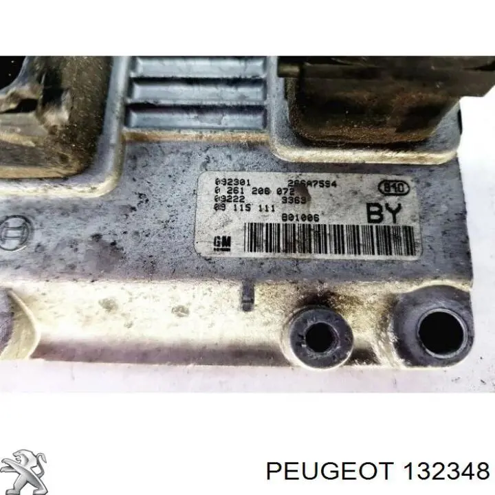 132348 Peugeot/Citroen mangueira superior do tanque de expansão