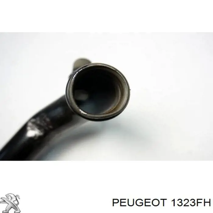  Peugeot/Citroen 1323FH цена, от 19.88 USD